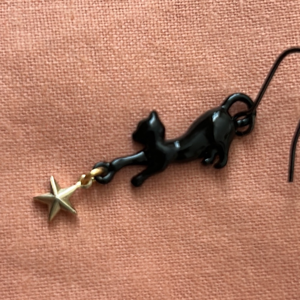 Cats 🐈‍⬛ earrings